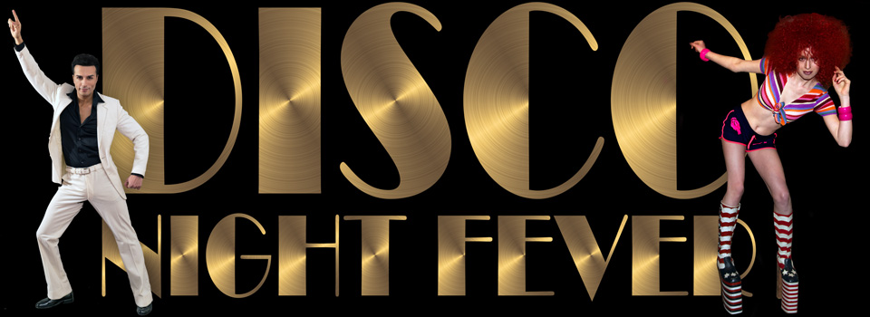 Disco Night Fever huvudbild